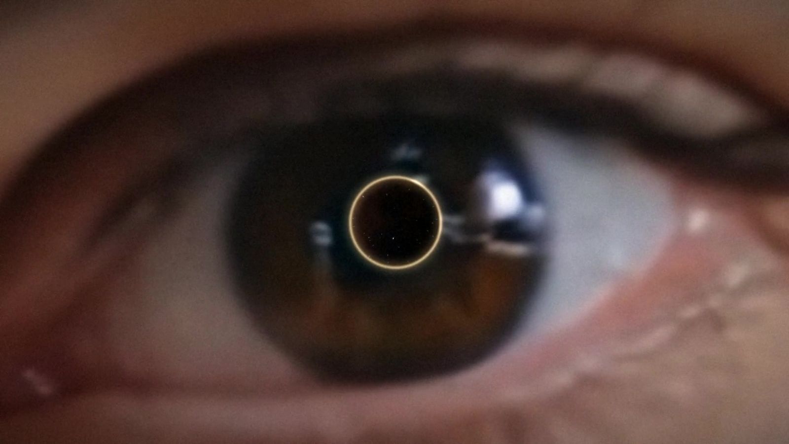 Close-up of Chrisothemis Perdikea’s eye with a golden focus ring, The Decoder