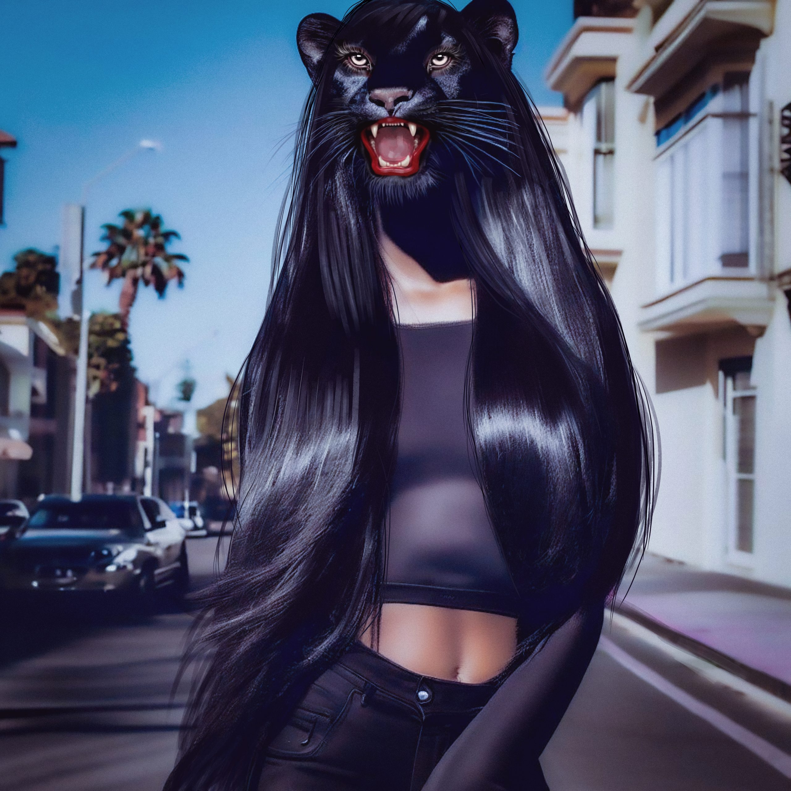 California Dreamin’ with Panthera Noir